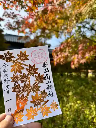 白山神社の御朱印