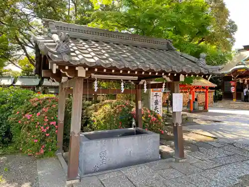 千葉神社の手水舎