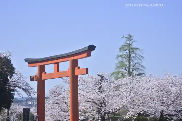 富士山本宮浅間大社(静岡県)