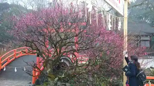 賀茂御祖神社（下鴨神社）のその他建物