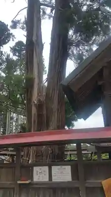 鹿嶋三嶋神社のその他建物