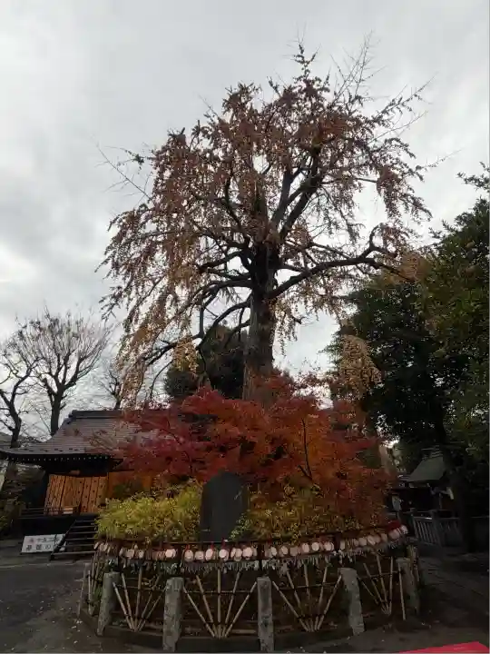 七社神社(東京都)