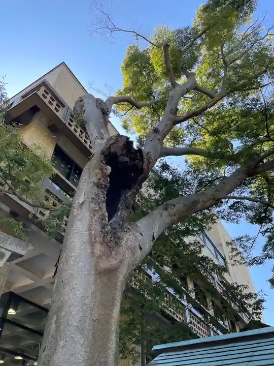 亀岡八幡宮(亀岡八幡神社)(神奈川県)