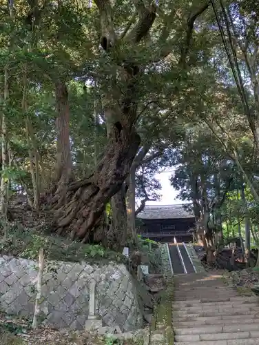 西明寺(栃木県)