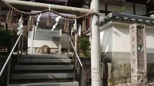 霊明神社の鳥居