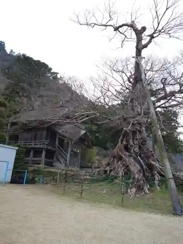 神魂伊能知奴志神社(島根県)
