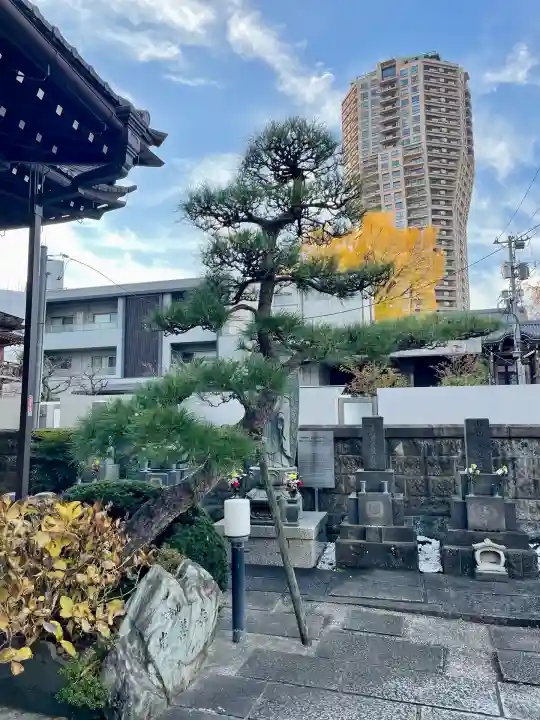 光善寺(東京都)