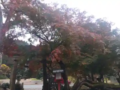 天日陰比咩神社(石川県)