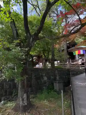 深大寺の{uncategorized: "未分類", other: "その他", undefined: "問題あり", building: "その他建物", grave: "お墓", sacred_gate: "鳥居", guardian: "狛犬", statue: "像", buddha: "仏像", history: "歴史", nature: "自然", garden: "庭園", animal: "動物", pagoda: "塔", temizu: "手水舎", mountain_gate: "山門・神門", sanctuary: "本殿・本堂", subordinate: "末社・摂社", art: "芸術", scenery: "景色", jizo: "地蔵", ema: "絵馬", goshuin: "御朱印", omikuji: "おみくじ", items: "授与品その他", amulet: "お守り", goshuincho: "御朱印帳", eats: "食事", festival: "お祭り", votive_dance: "神楽", shichigosan: "七五三参", wedding: "結婚式", experience: "体験その他", initially: "初詣", around: "周辺", anti_infection: "感染症対策"}