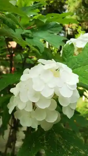 持寳院(多氣山不動尊)の自然