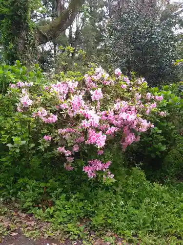葛原岡神社の自然