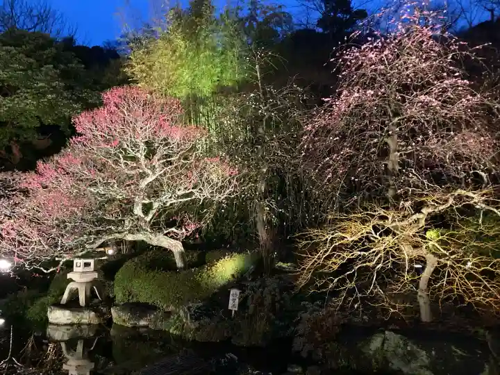 長谷寺の{uncategorized: "未分類", other: "その他", undefined: "問題あり", building: "その他建物", grave: "お墓", sacred_gate: "鳥居", guardian: "狛犬", statue: "像", buddha: "仏像", history: "歴史", nature: "自然", garden: "庭園", animal: "動物", pagoda: "塔", temizu: "手水舎", mountain_gate: "山門・神門", sanctuary: "本殿・本堂", subordinate: "末社・摂社", art: "芸術", scenery: "景色", jizo: "地蔵", ema: "絵馬", goshuin: "御朱印", omikuji: "おみくじ", items: "授与品その他", amulet: "お守り", goshuincho: "御朱印帳", eats: "食事", festival: "お祭り", votive_dance: "神楽", shichigosan: "七五三参", wedding: "結婚式", experience: "体験その他", initially: "初詣", around: "周辺", anti_infection: "感染症対策"}