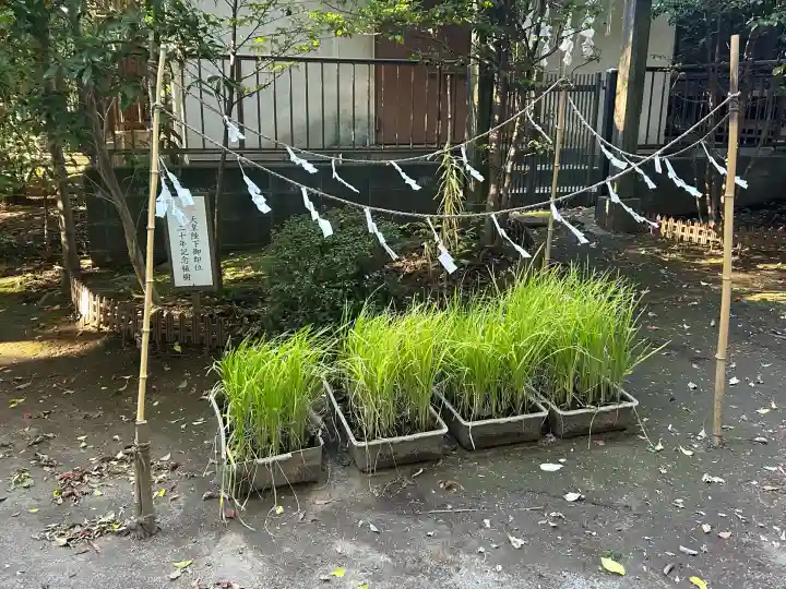 氷川女體神社(埼玉県)