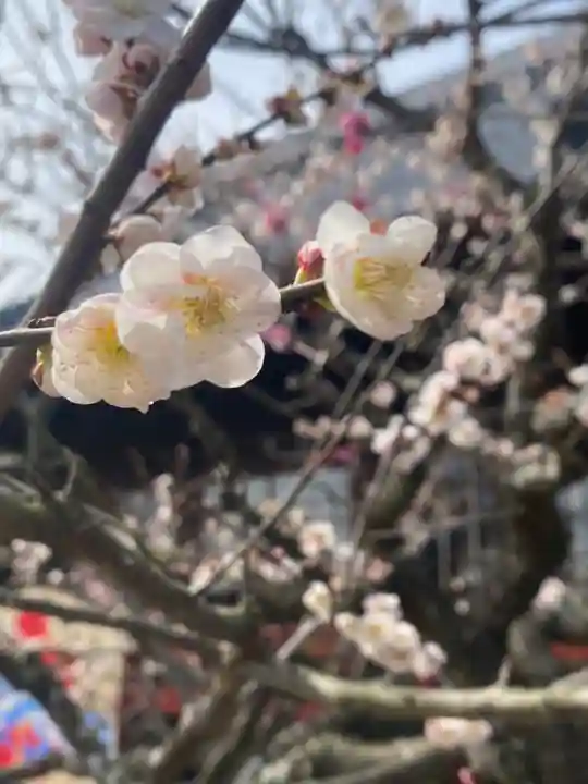 岩津天満宮(愛知県)