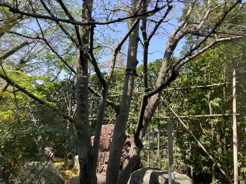 浄光明寺(神奈川県)