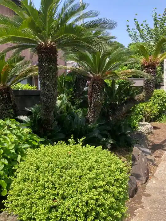 見光寺(神奈川県)