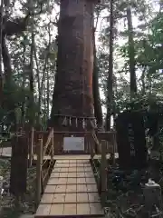 麻賀多神社の自然