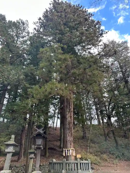 諏訪大社下社春宮(長野県)