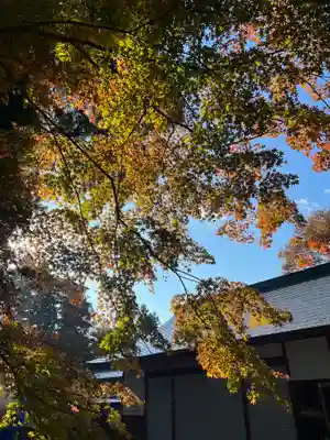 中尊寺(岩手県)