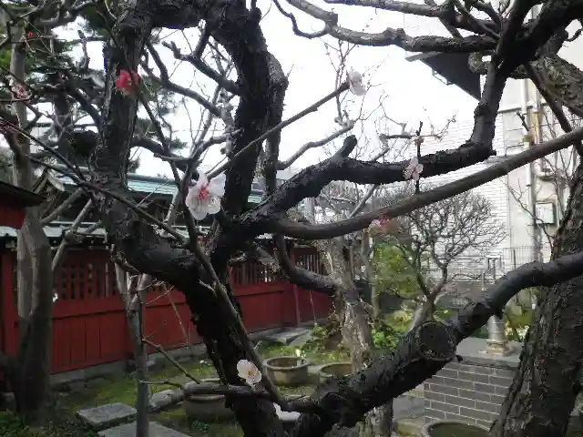 大巧寺のその他建物