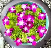 上尾御嶽神社の手水舎