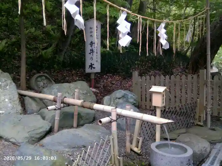 千歳神社の{uncategorized: "未分類", other: "その他", undefined: "問題あり", building: "その他建物", grave: "お墓", sacred_gate: "鳥居", guardian: "狛犬", statue: "像", buddha: "仏像", history: "歴史", nature: "自然", garden: "庭園", animal: "動物", pagoda: "塔", temizu: "手水舎", mountain_gate: "山門・神門", sanctuary: "本殿・本堂", subordinate: "末社・摂社", art: "芸術", scenery: "景色", jizo: "地蔵", ema: "絵馬", goshuin: "御朱印", omikuji: "おみくじ", items: "授与品その他", amulet: "お守り", goshuincho: "御朱印帳", eats: "食事", festival: "お祭り", votive_dance: "神楽", shichigosan: "七五三参", wedding: "結婚式", experience: "体験その他", initially: "初詣", around: "周辺", anti_infection: "感染症対策"}