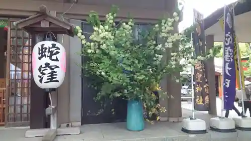 蛇窪神社(東京都)