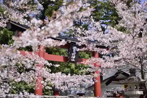 一之宮貫前神社の自然