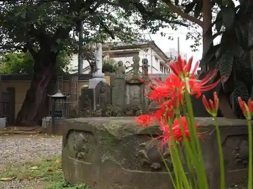 新井薬師（梅照院）の自然