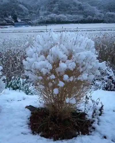 高司神社〜むすびの神の鎮まる社〜の自然