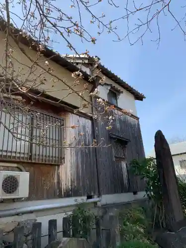 恵比須神社（石上神宮境外末社）の自然