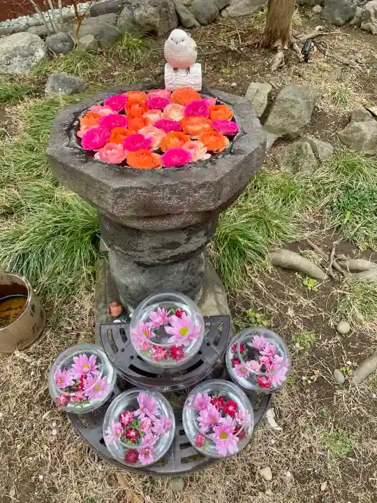 法輪寺の{uncategorized: "未分類", other: "その他", undefined: "問題あり", building: "その他建物", grave: "お墓", sacred_gate: "鳥居", guardian: "狛犬", statue: "像", buddha: "仏像", history: "歴史", nature: "自然", garden: "庭園", animal: "動物", pagoda: "塔", temizu: "手水舎", mountain_gate: "山門・神門", sanctuary: "本殿・本堂", subordinate: "末社・摂社", art: "芸術", scenery: "景色", jizo: "地蔵", ema: "絵馬", goshuin: "御朱印", omikuji: "おみくじ", items: "授与品その他", amulet: "お守り", goshuincho: "御朱印帳", eats: "食事", festival: "お祭り", votive_dance: "神楽", shichigosan: "七五三参", wedding: "結婚式", experience: "体験その他", initially: "初詣", around: "周辺", anti_infection: "感染症対策"}