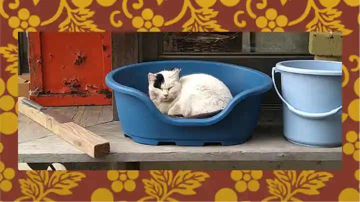 今市報徳二宮神社(栃木県)