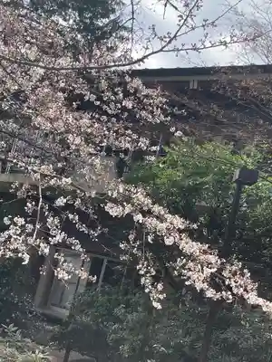阿佐ヶ谷神明宮(東京都)