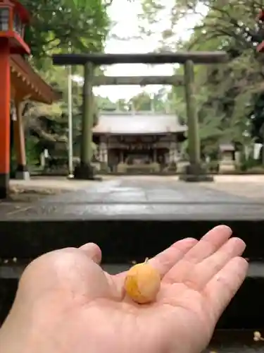 三ケ尻八幡神社の鳥居