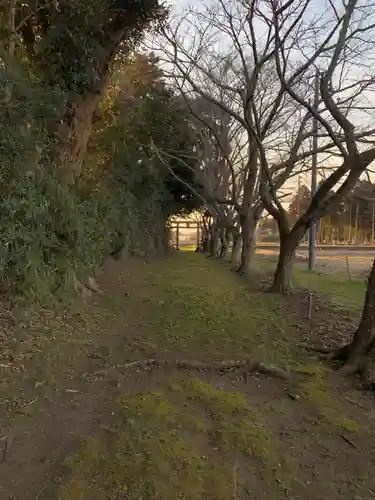 稲荷神社(千葉県)