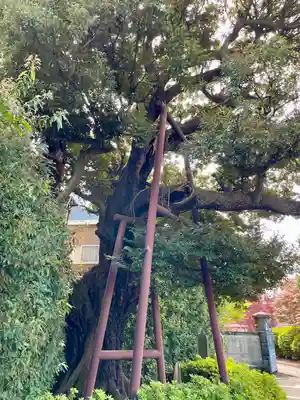 延命院(東京都)