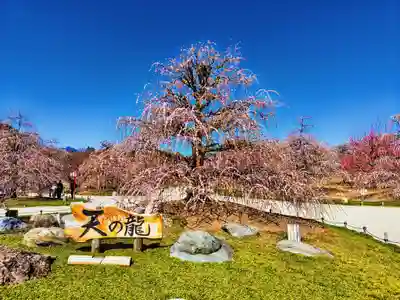 椿大神社の周辺