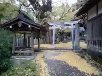 素盞雄神社の手水舎