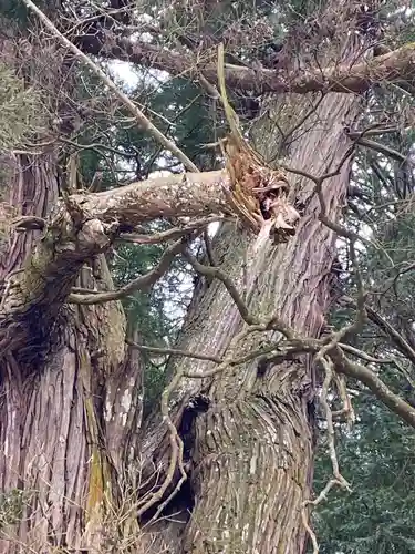 高岡神社(岡山県)
