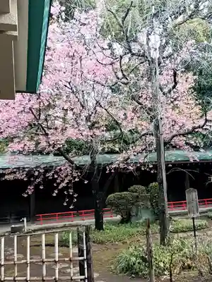 代々木八幡宮(東京都)