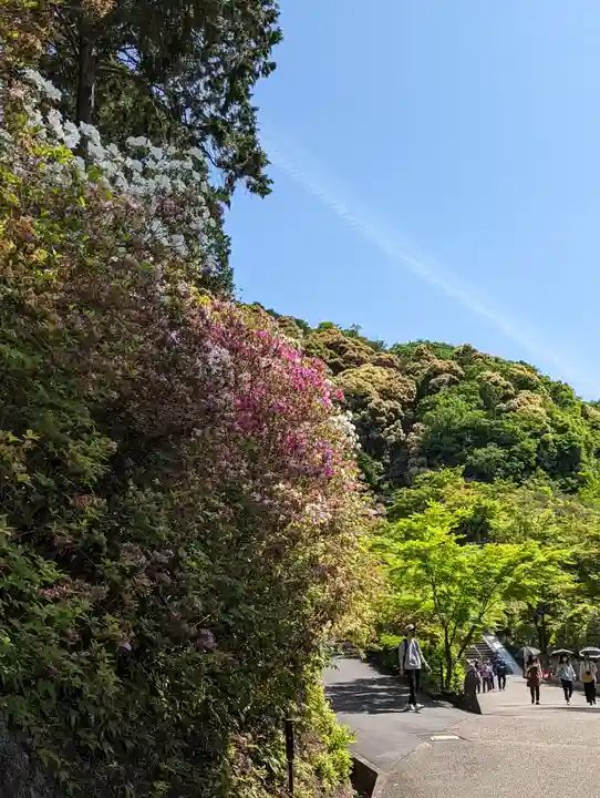 三室戸寺(京都府)