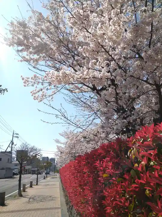 天御柱神社の周辺