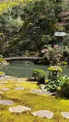 慈恩護国禅寺の{uncategorized: "未分類", other: "その他", undefined: "問題あり", building: "その他建物", grave: "お墓", sacred_gate: "鳥居", guardian: "狛犬", statue: "像", buddha: "仏像", history: "歴史", nature: "自然", garden: "庭園", animal: "動物", pagoda: "塔", temizu: "手水舎", mountain_gate: "山門・神門", sanctuary: "本殿・本堂", subordinate: "末社・摂社", art: "芸術", scenery: "景色", jizo: "地蔵", ema: "絵馬", goshuin: "御朱印", omikuji: "おみくじ", items: "授与品その他", amulet: "お守り", goshuincho: "御朱印帳", eats: "食事", festival: "お祭り", votive_dance: "神楽", shichigosan: "七五三参", wedding: "結婚式", experience: "体験その他", initially: "初詣", around: "周辺", anti_infection: "感染症対策"}