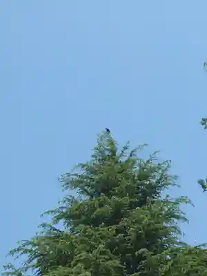 皇子大神(神奈川県)