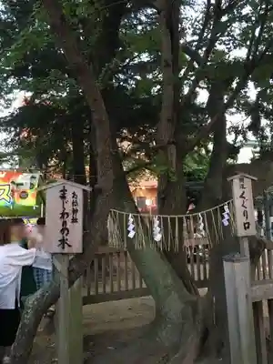 胡録神社のその他建物