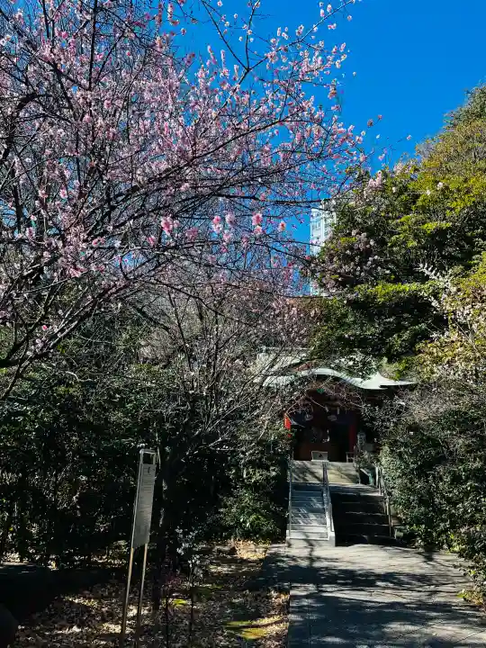 芝東照宮の{uncategorized: "未分類", other: "その他", undefined: "問題あり", building: "その他建物", grave: "お墓", sacred_gate: "鳥居", guardian: "狛犬", statue: "像", buddha: "仏像", history: "歴史", nature: "自然", garden: "庭園", animal: "動物", pagoda: "塔", temizu: "手水舎", mountain_gate: "山門・神門", sanctuary: "本殿・本堂", subordinate: "末社・摂社", art: "芸術", scenery: "景色", jizo: "地蔵", ema: "絵馬", goshuin: "御朱印", omikuji: "おみくじ", items: "授与品その他", amulet: "お守り", goshuincho: "御朱印帳", eats: "食事", festival: "お祭り", votive_dance: "神楽", shichigosan: "七五三参", wedding: "結婚式", experience: "体験その他", initially: "初詣", around: "周辺", anti_infection: "感染症対策"}