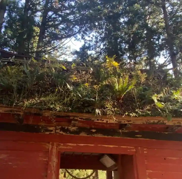 戸隠神社奥社(長野県)