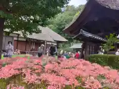 横浜　西方寺(神奈川県)