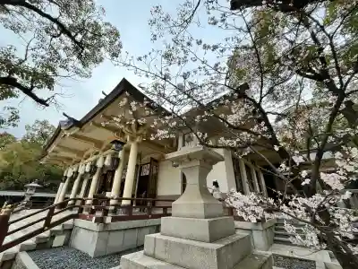湊川神社(兵庫県)